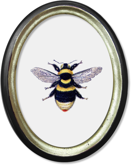 Óvalo Vintage Abejorro - Cuadros Ovalo Png (600x900), Png Download