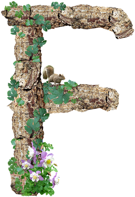 Alphabet, Letter, Rustic, Timber, Bark - Natural Arch (500x720), Png Download