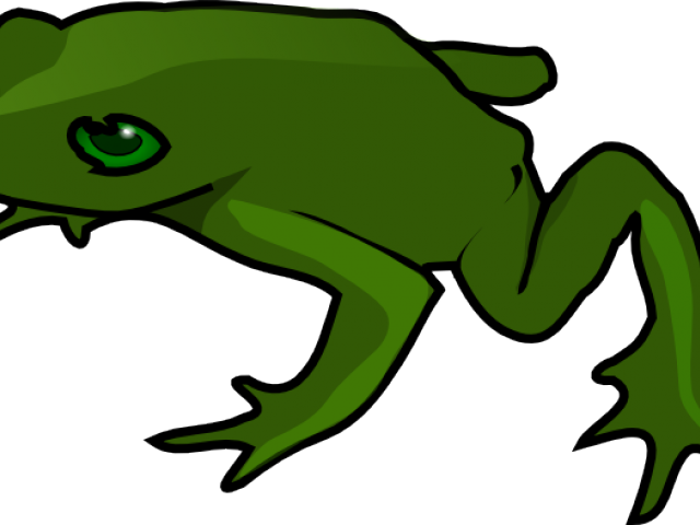 Toad Clipart Real Frog - Frog Clip Art (640x480), Png Download