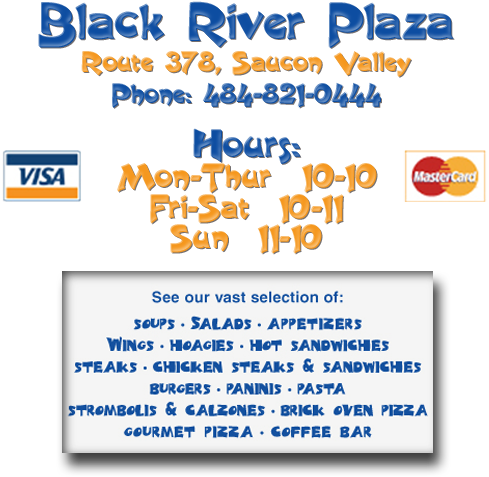 Visa (700x485), Png Download