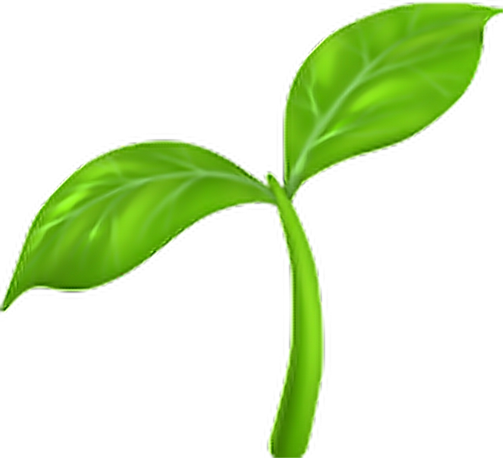 Emoji Sticker - Seedling Emoji (1024x933), Png Download