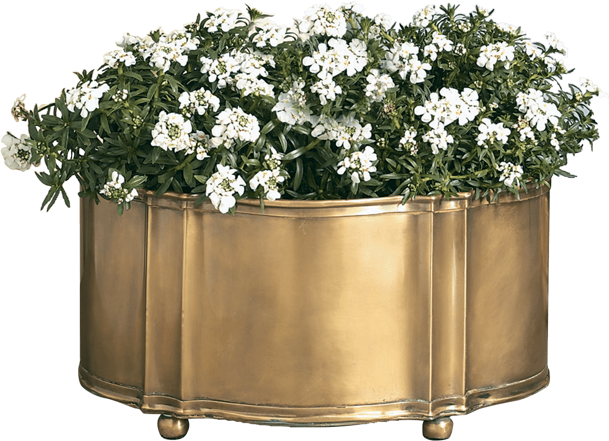 Add A Natural Touch To Your Surroundings With This - Chrysanths (1200x1200), Png Download