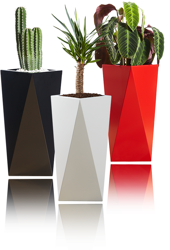 Barevné Obaly Na Květináče - Houseplant (692x865), Png Download
