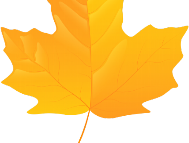 Autumn Leaves Clipart Yellow - Maple Leaf Png Yellow (640x480), Png Download