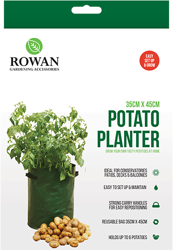 Potato (800x620), Png Download