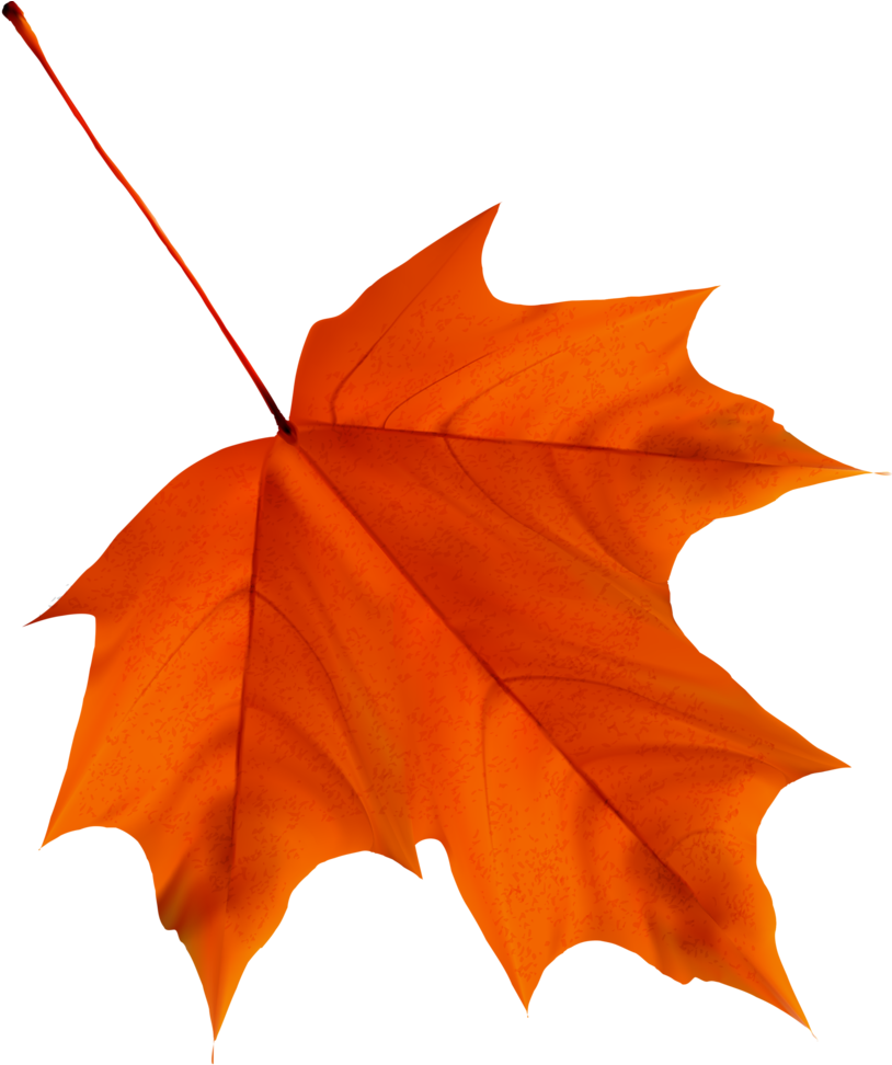 🍁aυƭυmຖ🍁 Rubrics, Autumn Leaves, Scissors, Clip Art, - Clipart Autumn Leavs (937x1024), Png Download