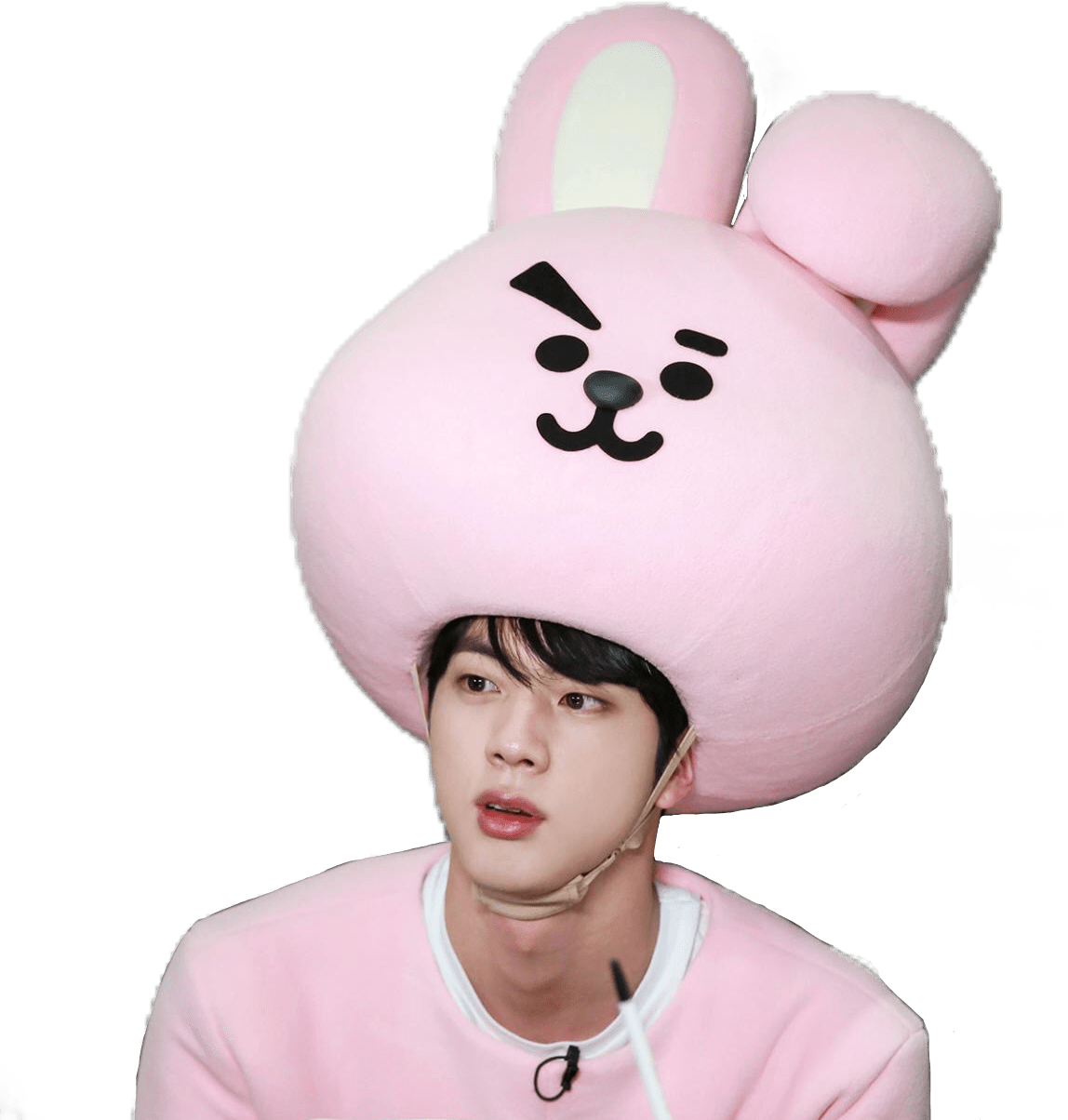 Rj Bts Bt21 Jin Cooky Freetoedit - Bts Dressed As Bt21 (1148x1204), Png Download