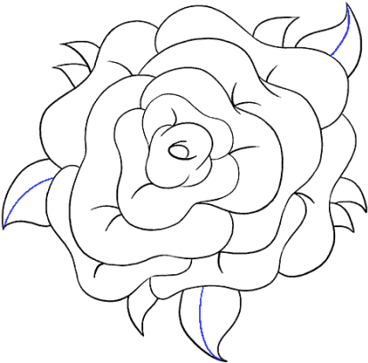 Flower Drawings (600x531), Png Download