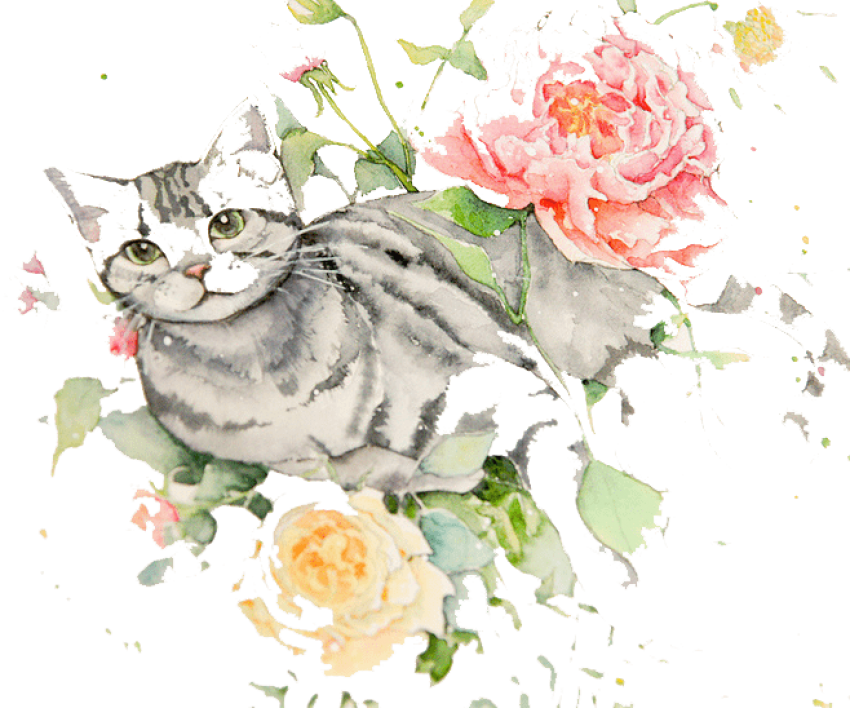 Free Png Download Cat With Flowers Drawing Png Images - Cat And Flowers Drawing (850x708), Png Download
