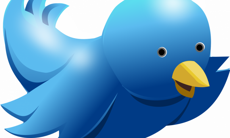 Computer Logo With Bird (800x480), Png Download