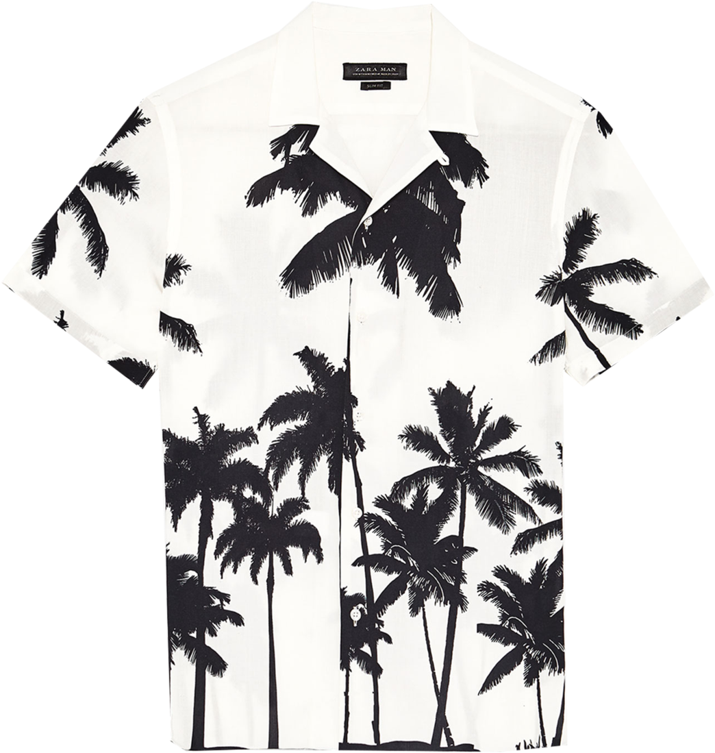 Zara - Camisas Zara Hombre Palmeras (1200x1341), Png Download