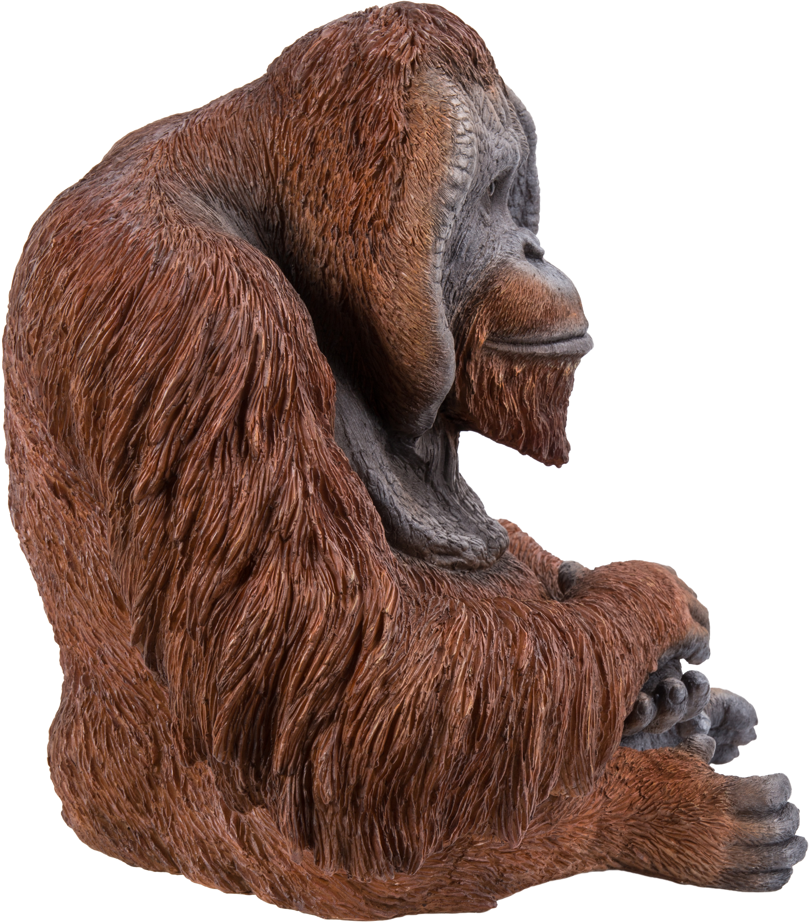Orangutan (2998x3385), Png Download
