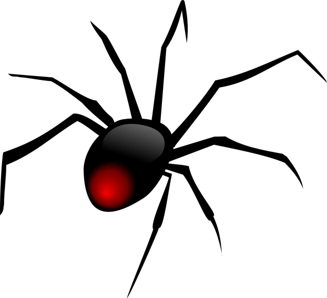 Free Vector Graphic - Black Widow Spider (640x583), Png Download