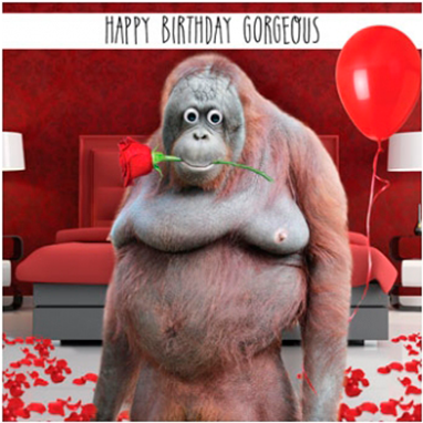 Birthday Funky Quirky Unusual Modern Cool Card Cards - Happy Birthday Gorgeous Funny (560x600), Png Download