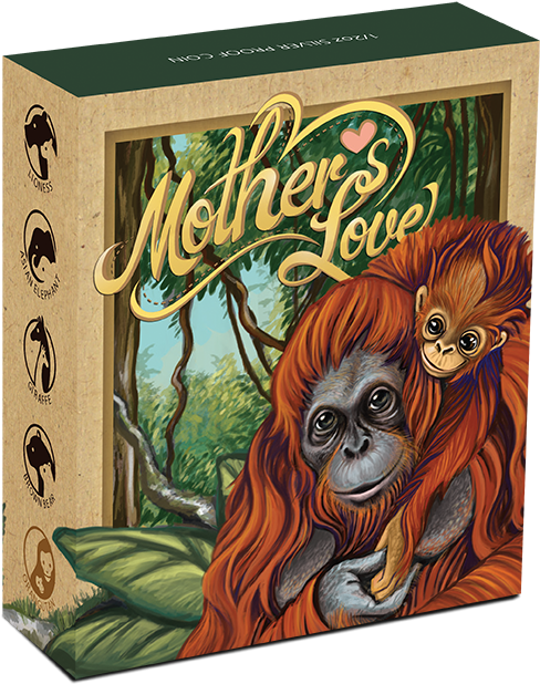 Enlarge - Orangutan (576x720), Png Download