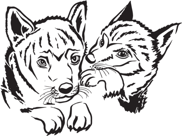Illustration (800x600), Png Download