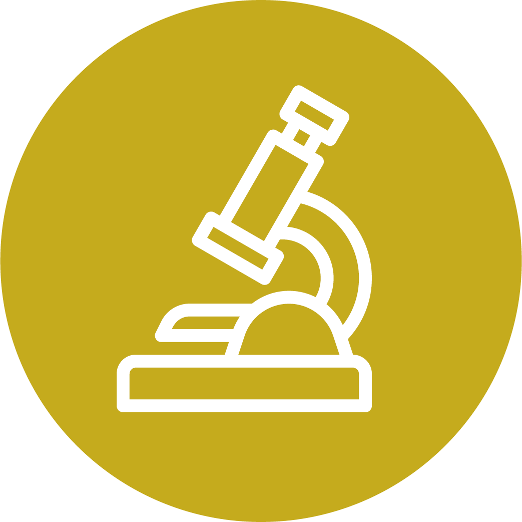 Exámenes De Laboratorio (1043x1042), Png Download