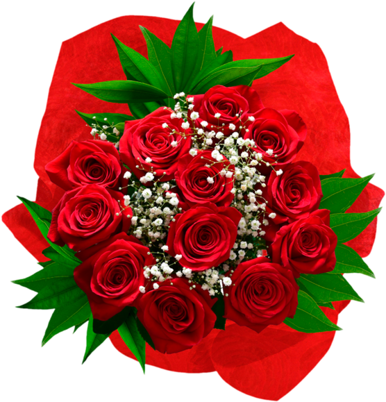 Premium Long Stem Red Rose Bouquet - Floribunda (700x696), Png Download