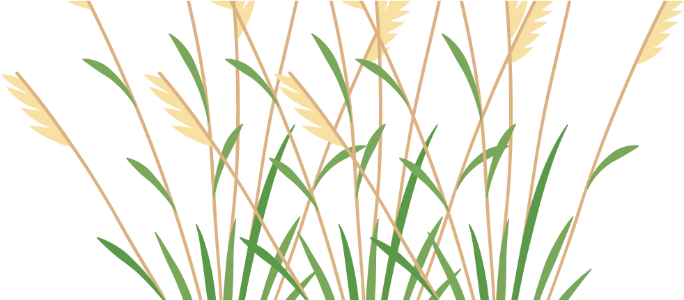 Icon 2 Weeds - Grass (1000x430), Png Download