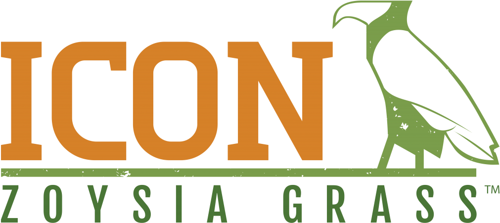 Icon Zoysia Grass - Graphic Design (1024x464), Png Download