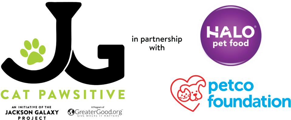 Jackson Galaxy Project, Halo, Petco Foundation Logos - Petco (1024x516), Png Download