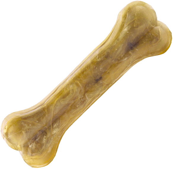 Bone Png - Bone (600x600), Png Download