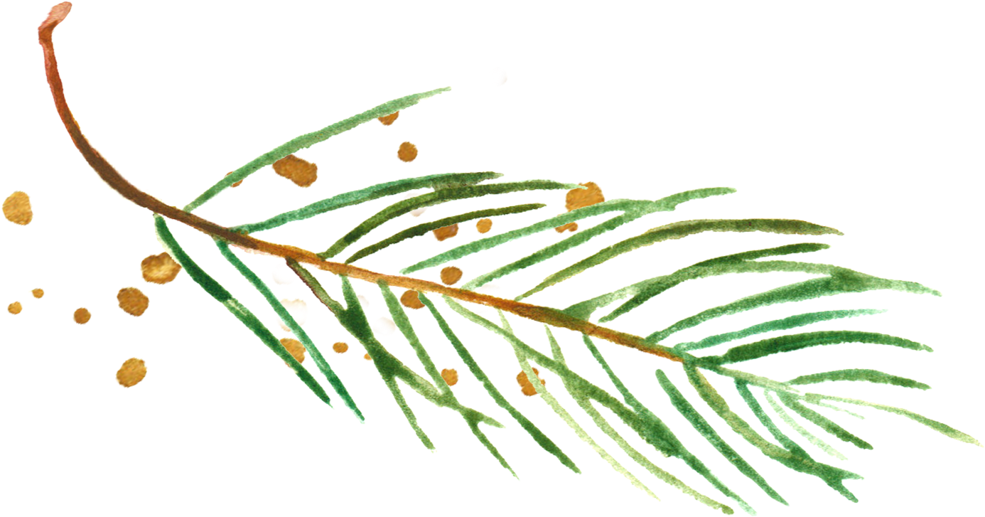 Com Julie Skelton Is A Garden And Commercial Photographer - Illustration (1459x824), Png Download