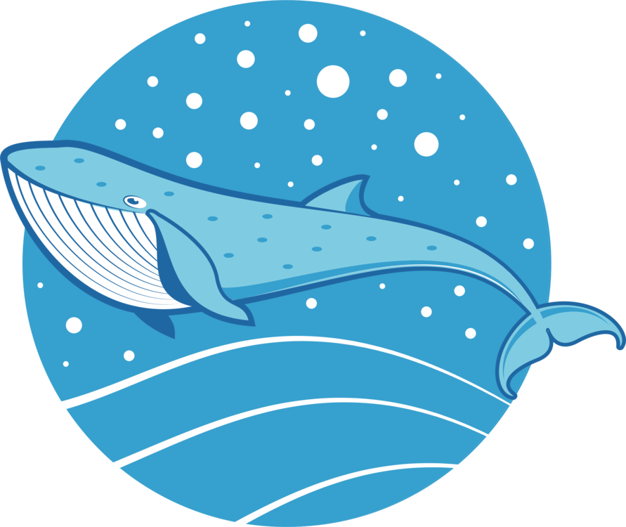 891 X 750 6 - Blue Whale Colored Drawing (891x750), Png Download