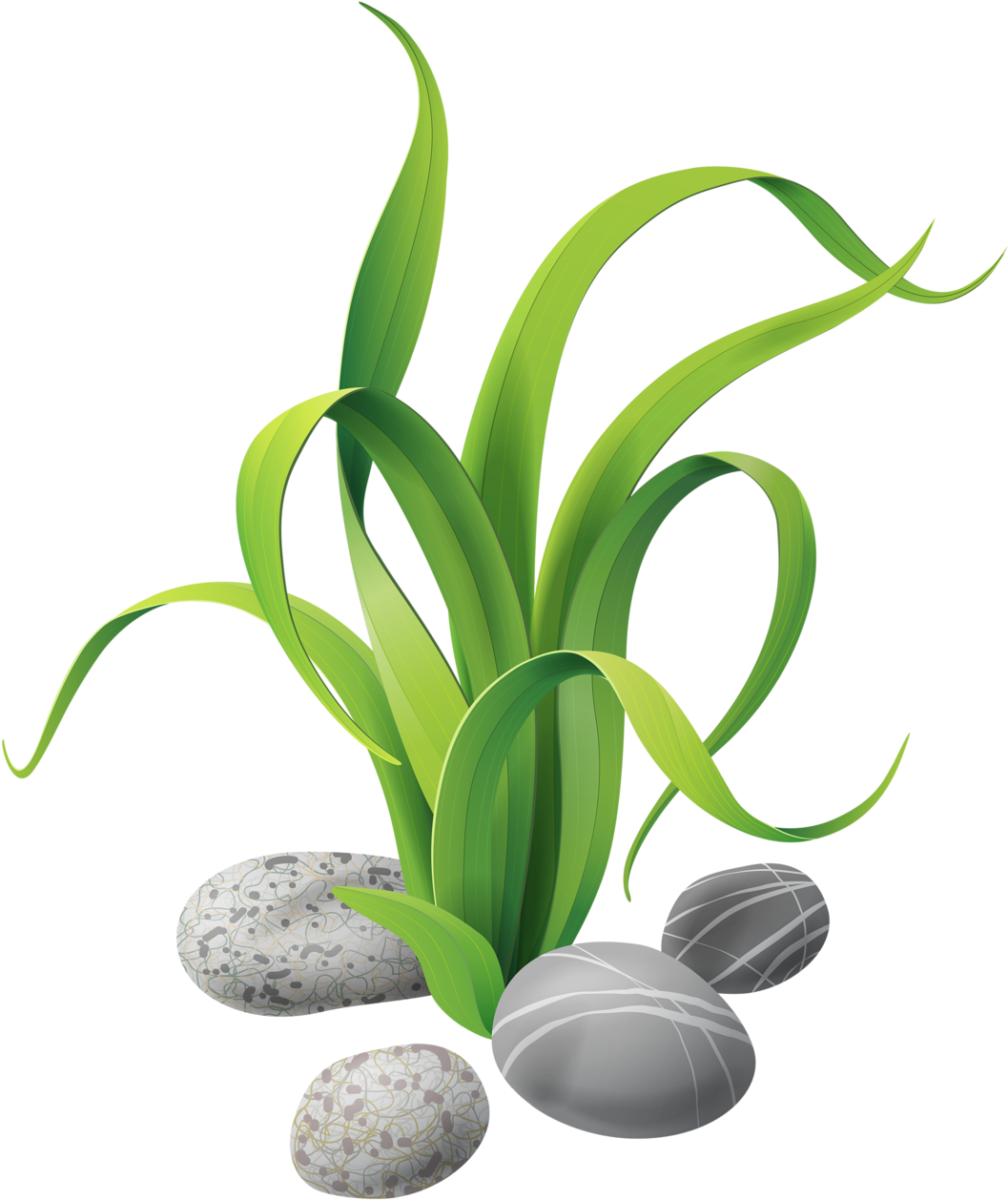 Algae Stones - Algas Marinas Animadas Png (1057x1258), Png Download