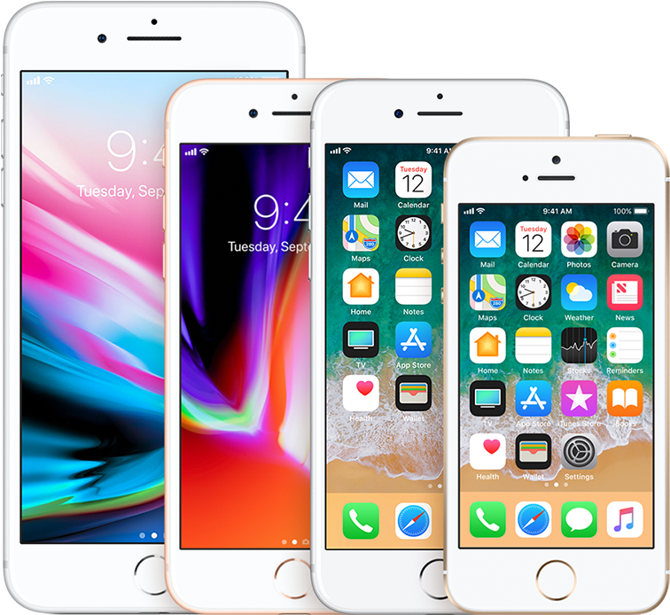 800 X 800 2 - Iphone Se Rose Gold Front (800x800), Png Download