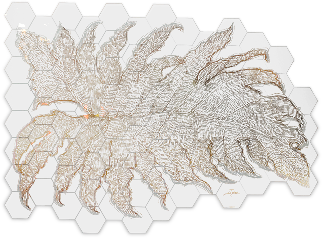 Alocasia - Crochet (1417x1417), Png Download