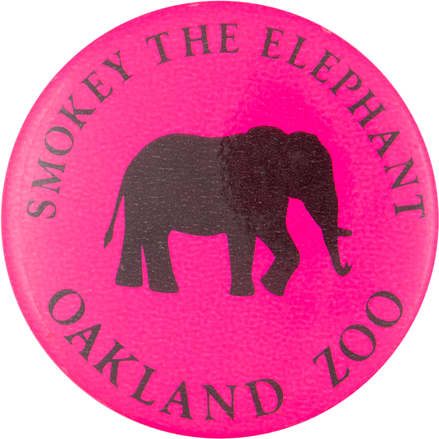 Smokey The Elephant - Tapir (1000x990), Png Download