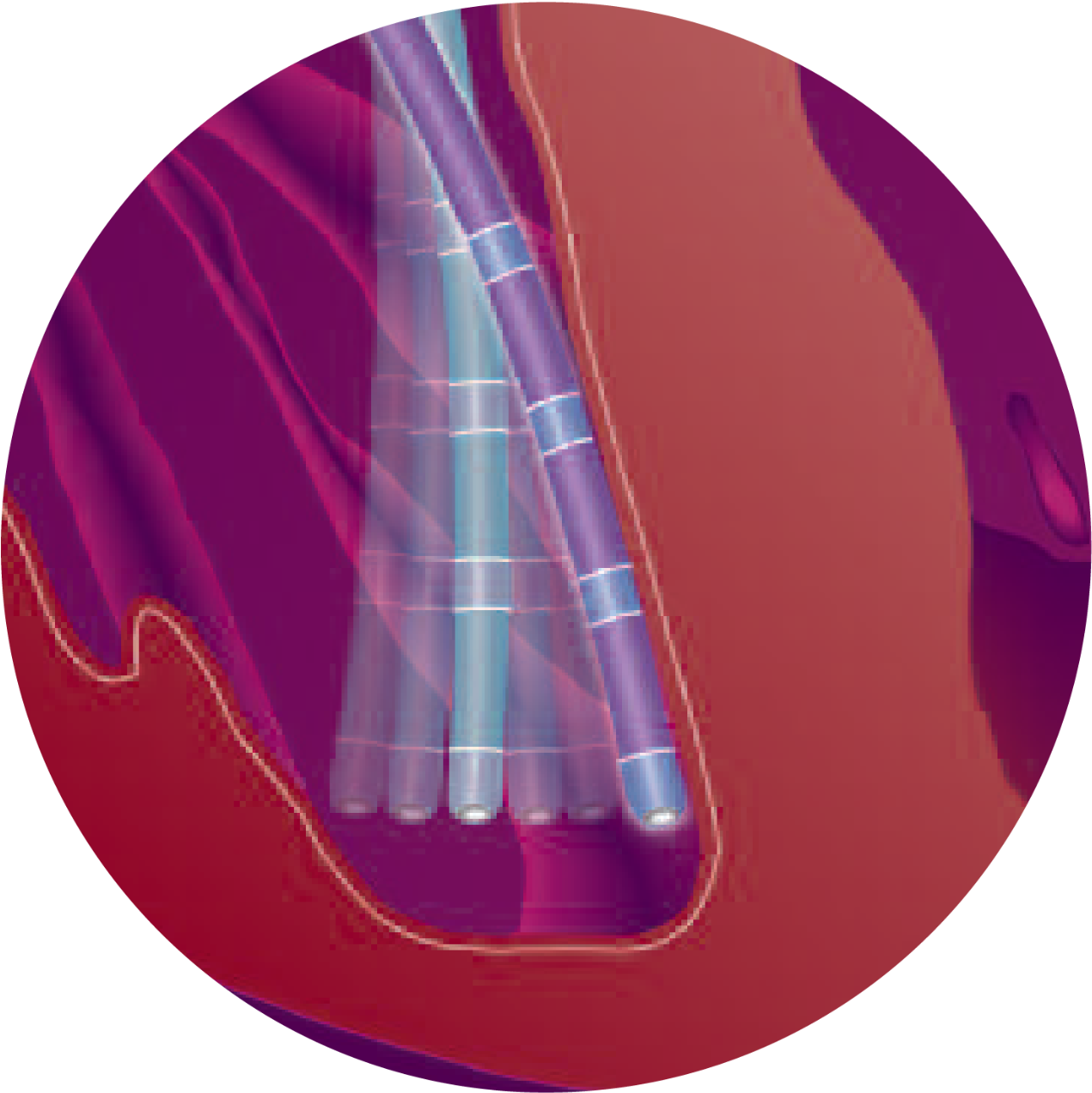 Stabilene Polymer Construction Is Designed To Provide - Circle (1280x1280), Png Download