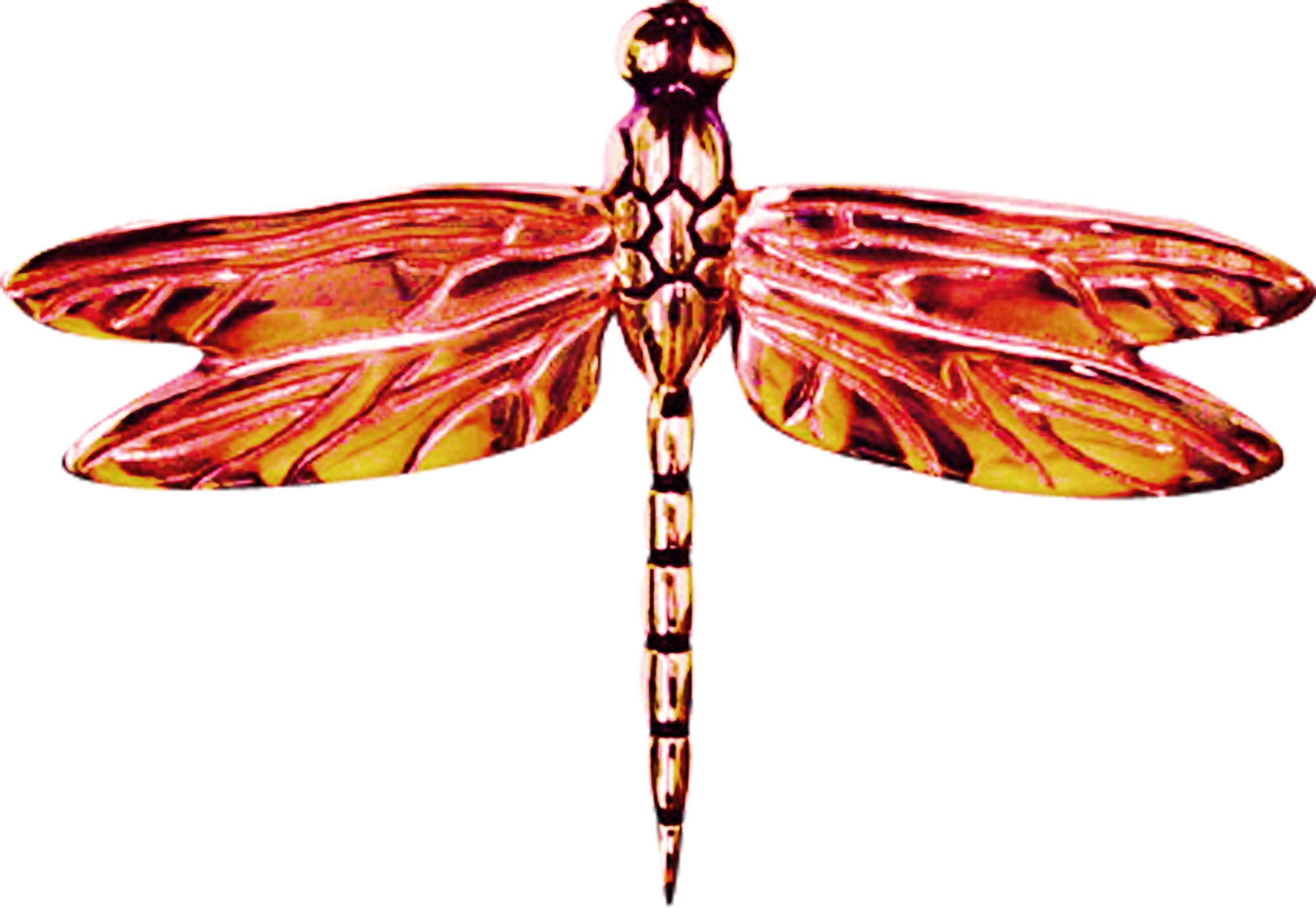 Net wing. Бабочки и Стрекозы. Стрекоза без фона. Стрекоза симметрия. Стрекоза на белом фоне.