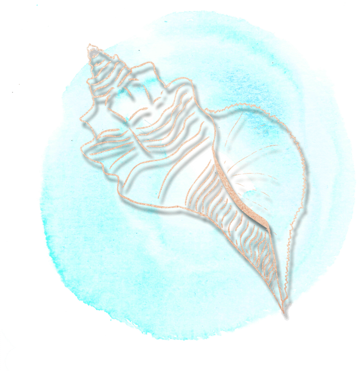 Your Business Is Aphrodite - Illustration (800x800), Png Download