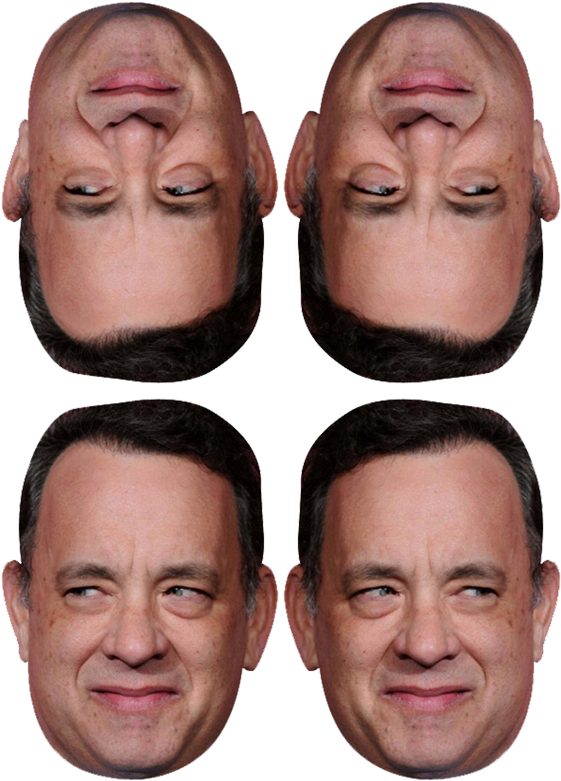 Collage (564x800), Png Download