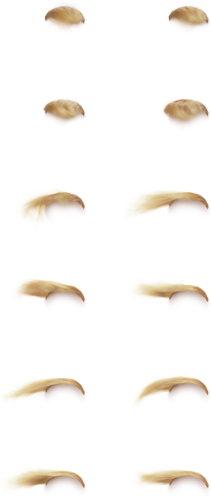 Hilarious Interactive Single Serving One Pager Where - Close-up (500x1125), Png Download