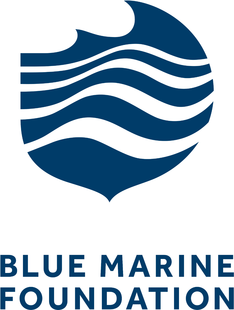 Blue Marine Foundation Logo (2000x1314), Png Download