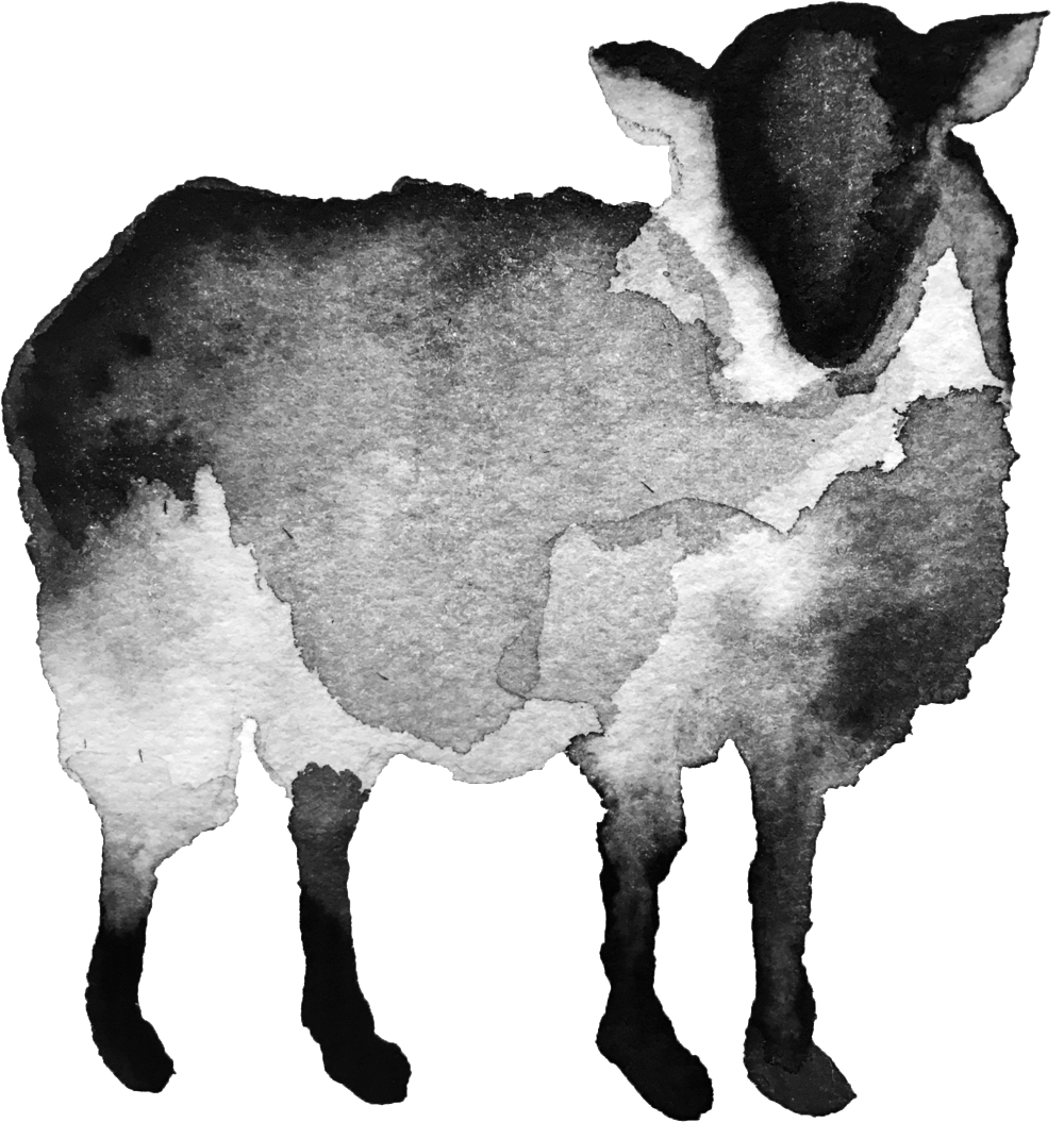 Black Sheep Transparent Copy - Dairy Cow (1000x1055), Png Download