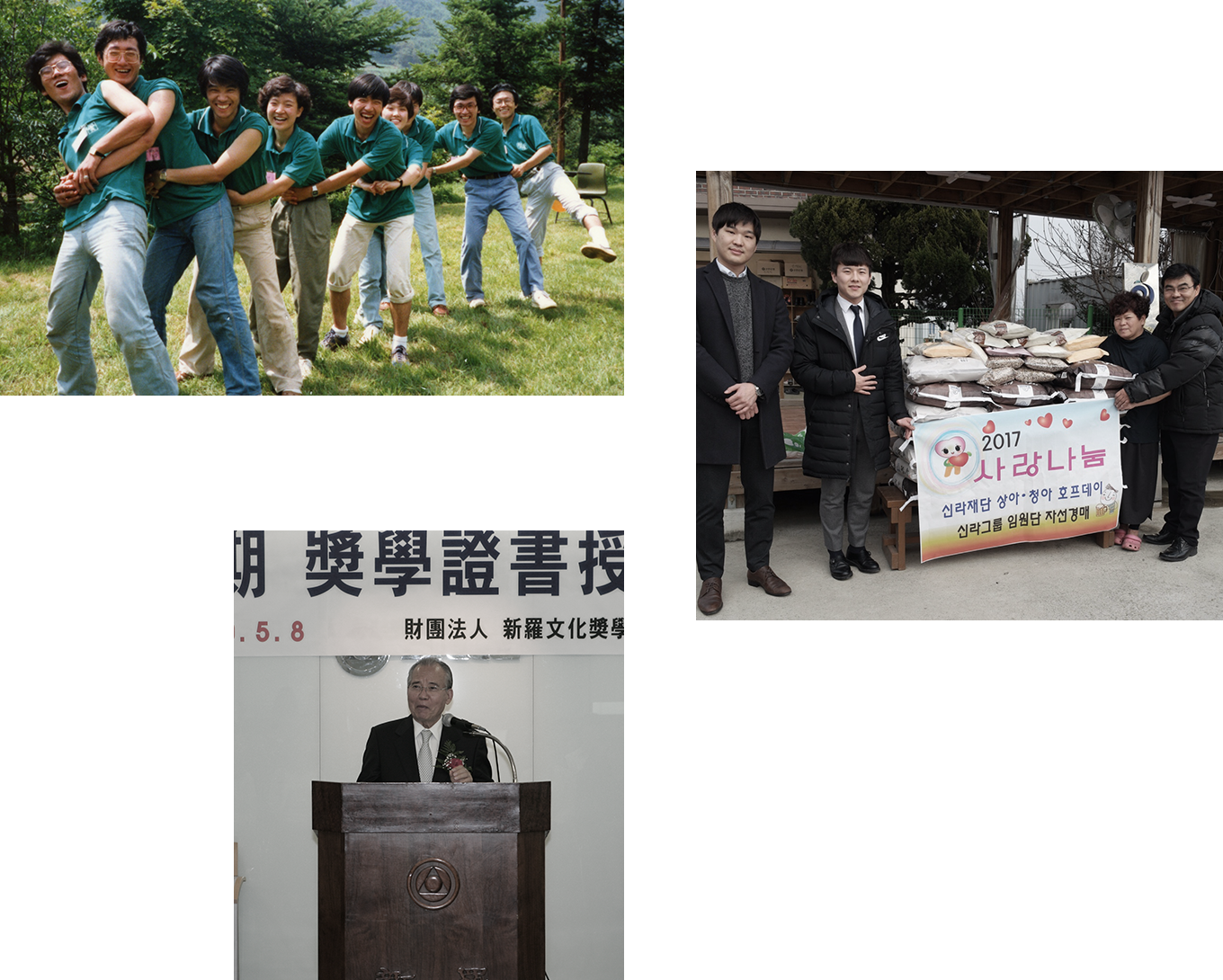 Purpose Of The Foundation's Establishment - Chair (1360x1090), Png Download