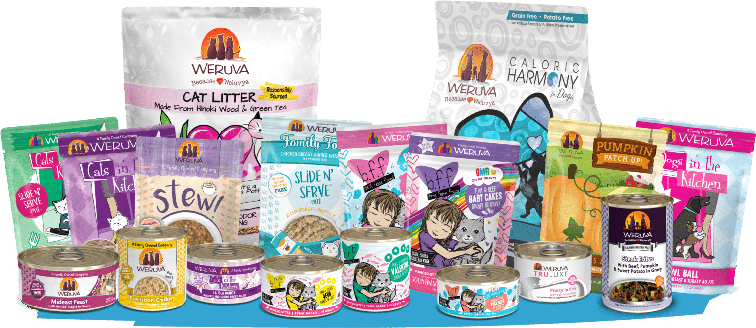 Image Description - Cat Grabs Treat (1600x693), Png Download