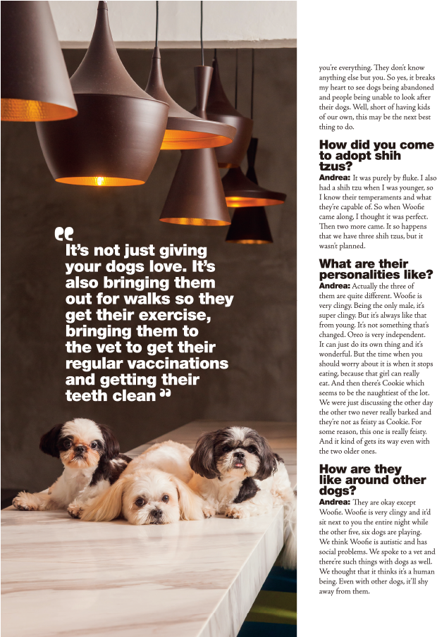 679 X 903 14 - Shih Tzu (679x903), Png Download