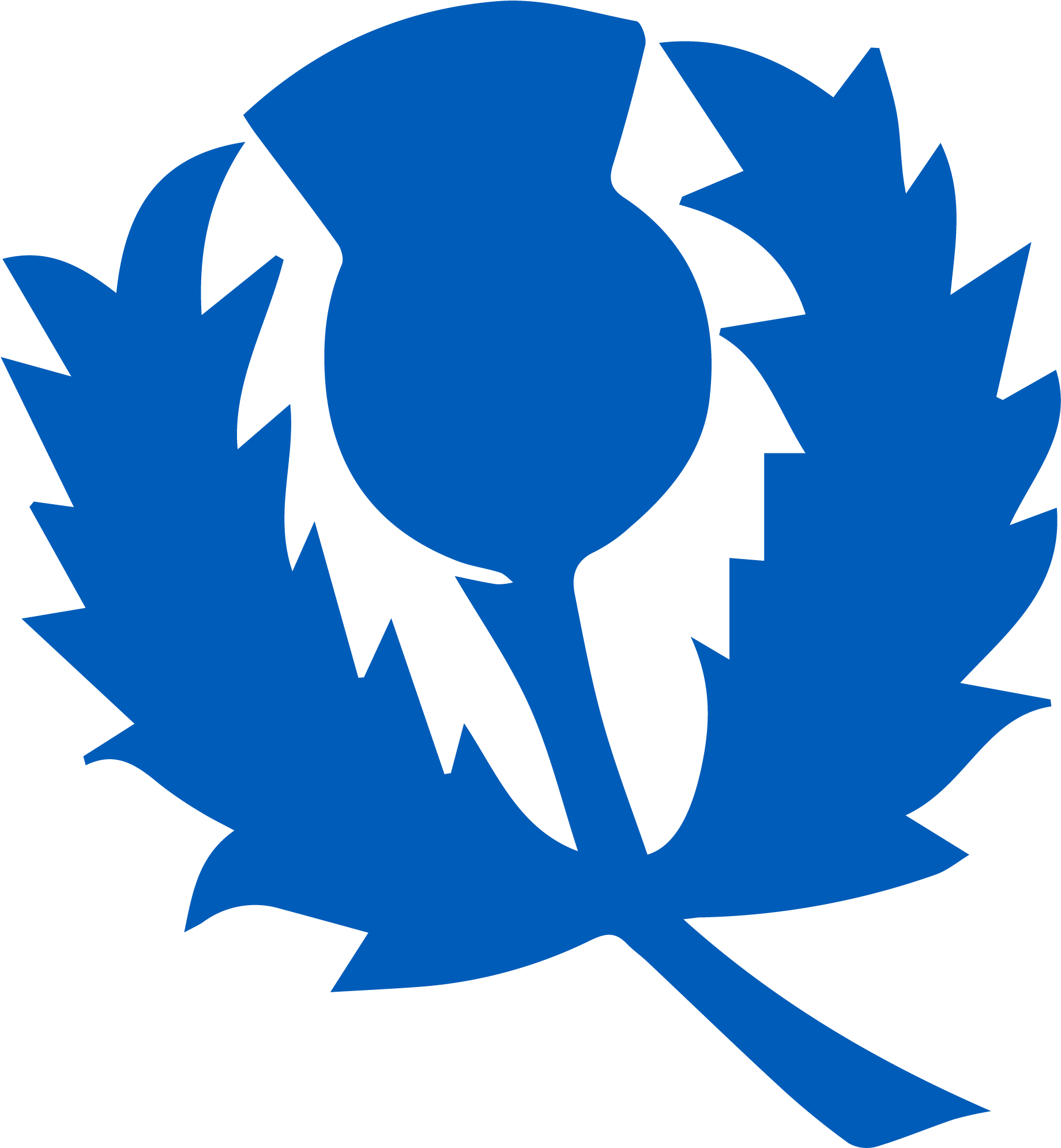 Scotland Women &ndash Cricket - Scotland Cricket Logo (2317x2368), Png Download