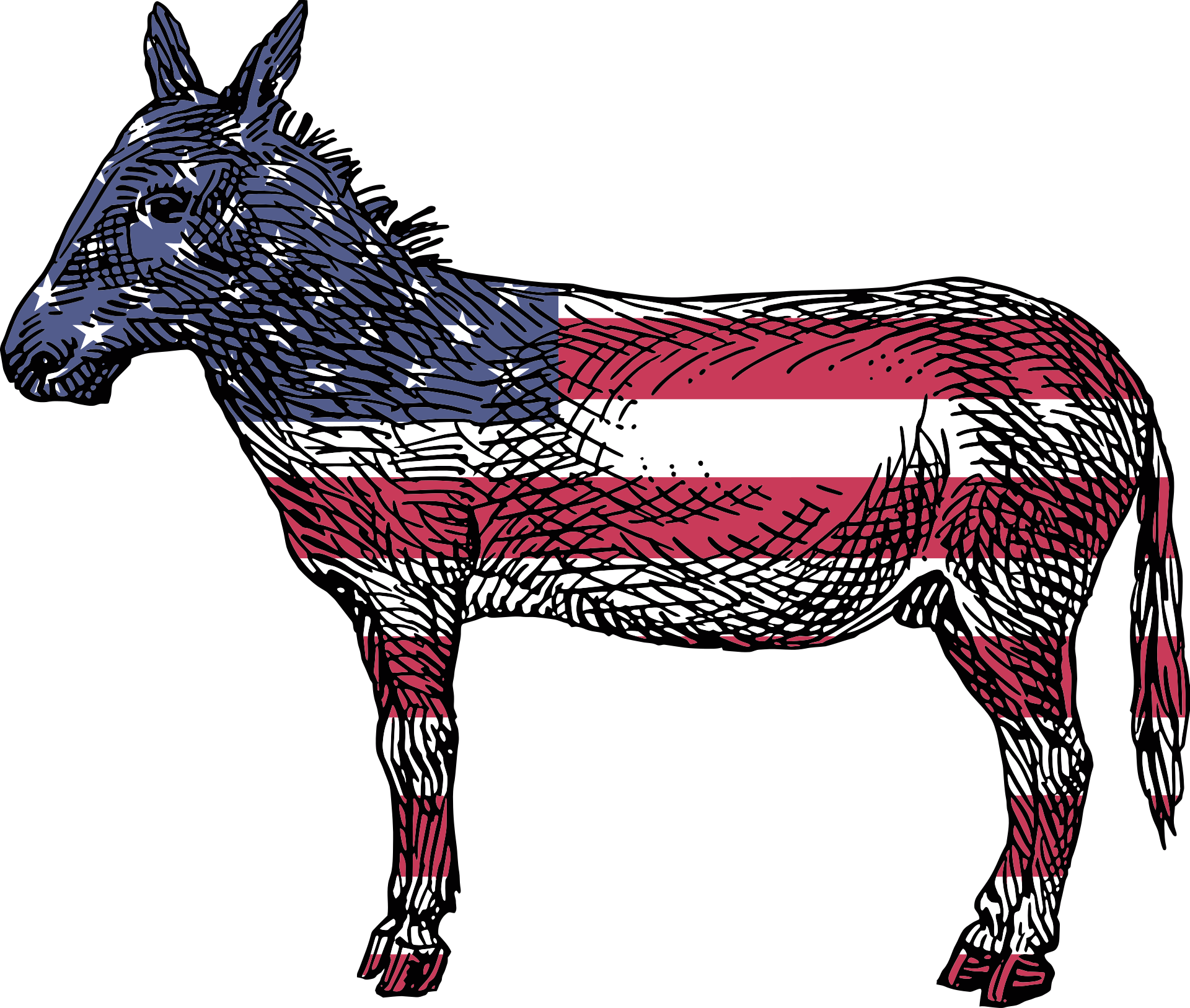 Democratic Party Response - Democrat Donkey Transparent Background (1920x1627), Png Download