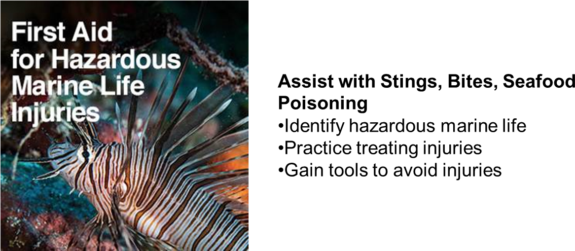 Haz Marine Life - Marine Biology (1297x508), Png Download