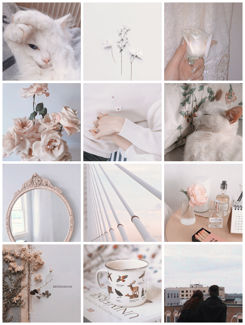 “ Psd - Collage (500x665), Png Download