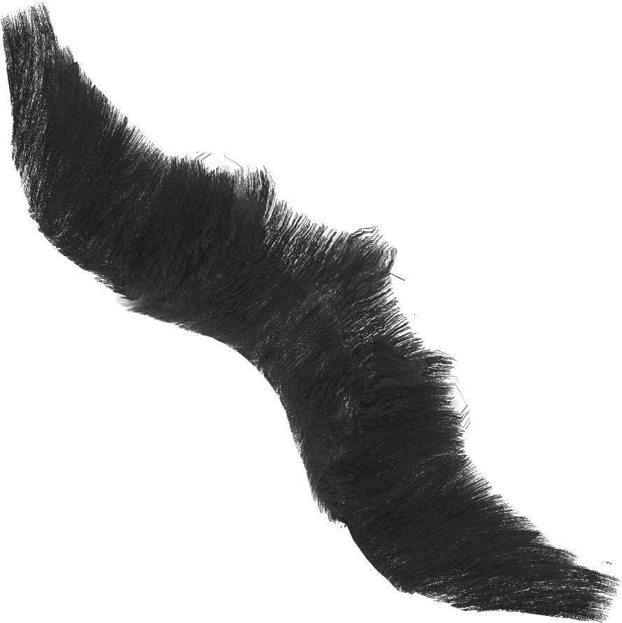 Full Beard Black Diff - Cat (1024x1024), Png Download