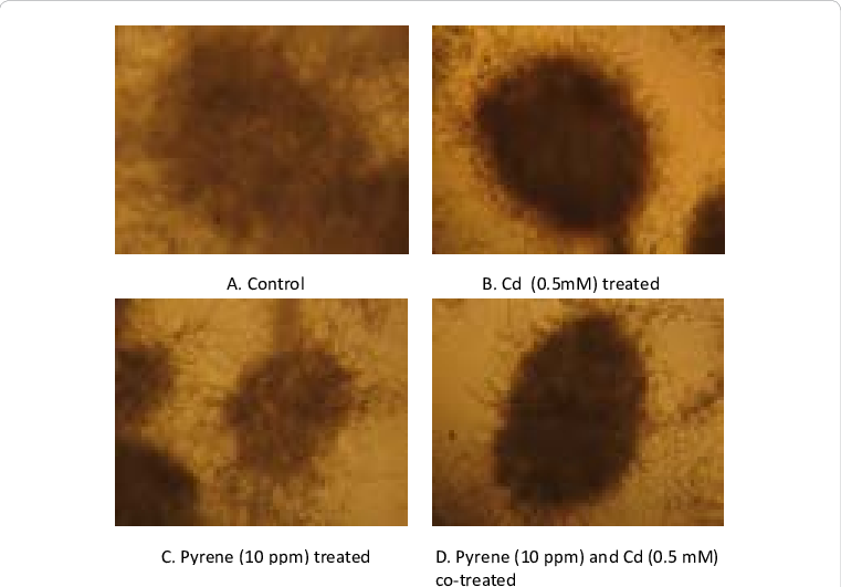 Download - Art (761x531), Png Download