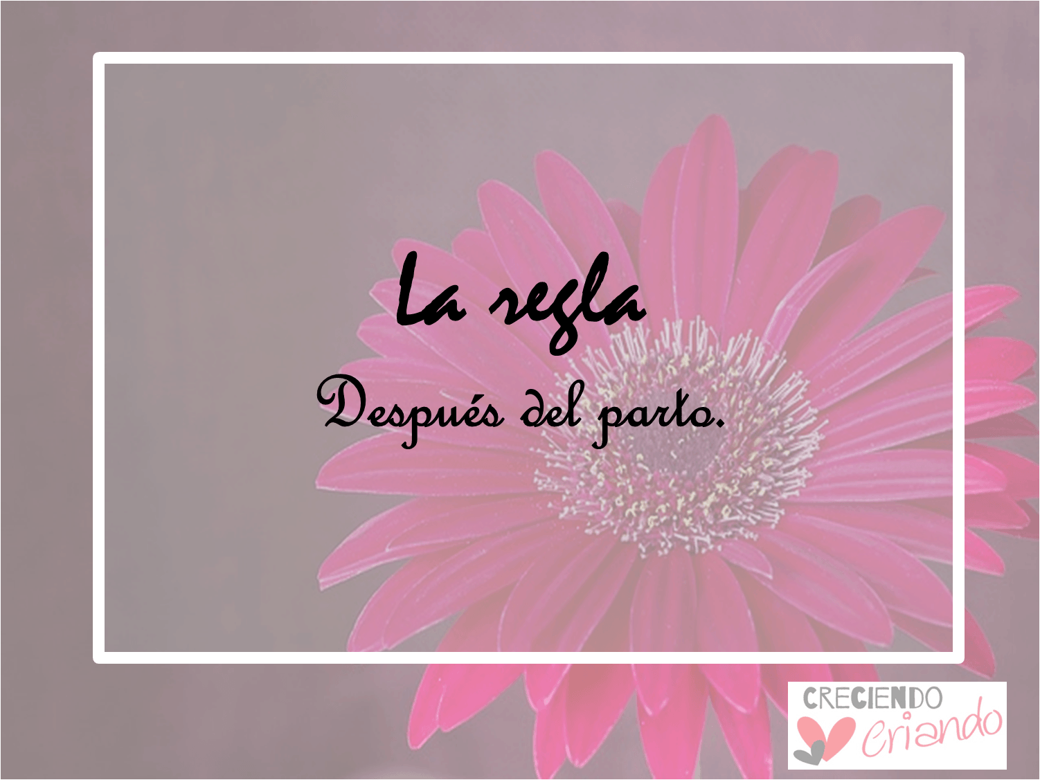 La Piazza Hotel (1502x1127), Png Download