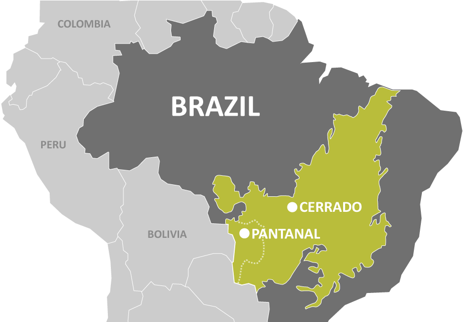One Of The 2016 Grantees Was The Giant Armadillo Conservation - Protected Areas Of The Amazon Rainforest (1146x642), Png Download
